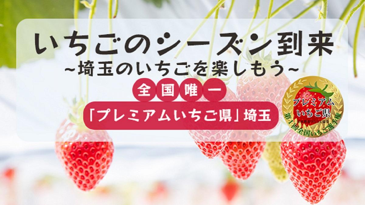 埼玉生まれのいちごを食べよう！