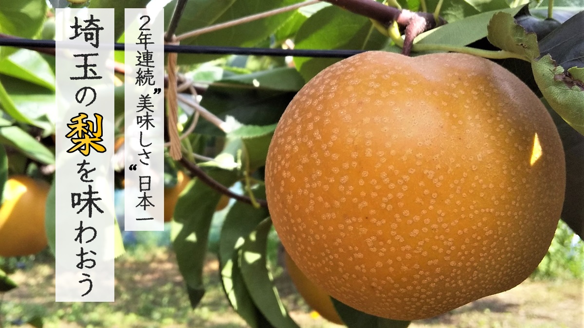 埼玉の梨を味わおう