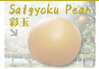 Saigyoku pear