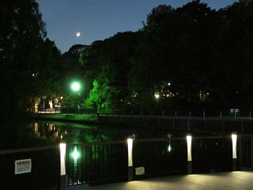夜の白鳥池