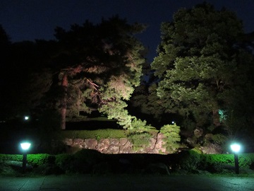 夜の日本庭園