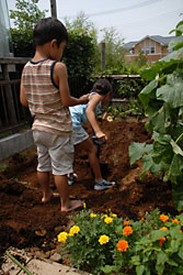 庭の穴掘りをしている写真