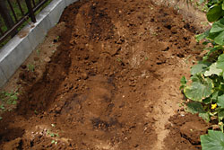 庭に掘られた穴の写真