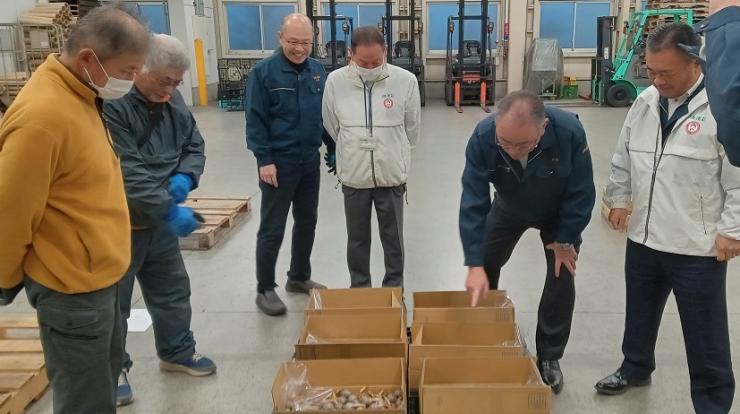 出荷するくわいを皆で確認する様子