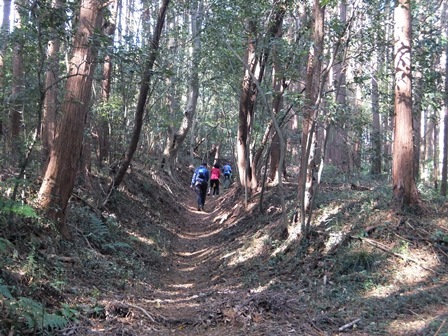 山道