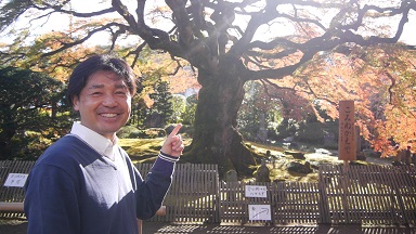田端さんと西善寺のコミネカエデ