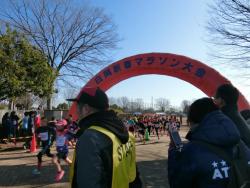 第30回白岡新春マラソン大会（アーチをくぐってスタート）