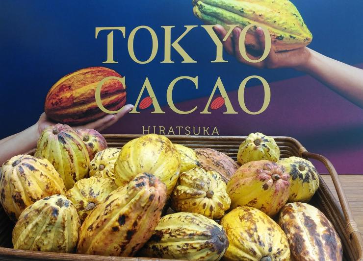 TOKYO CACAO
