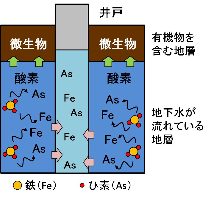 画僧：自然的原因によるひ素汚染メカニズム