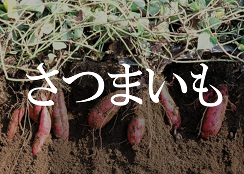 さつまいもボタン