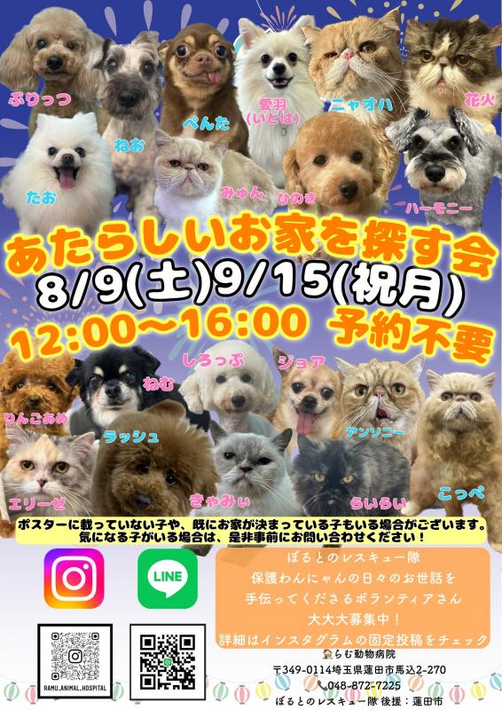 20250809ぼると