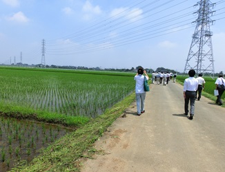 吉見町ほ場