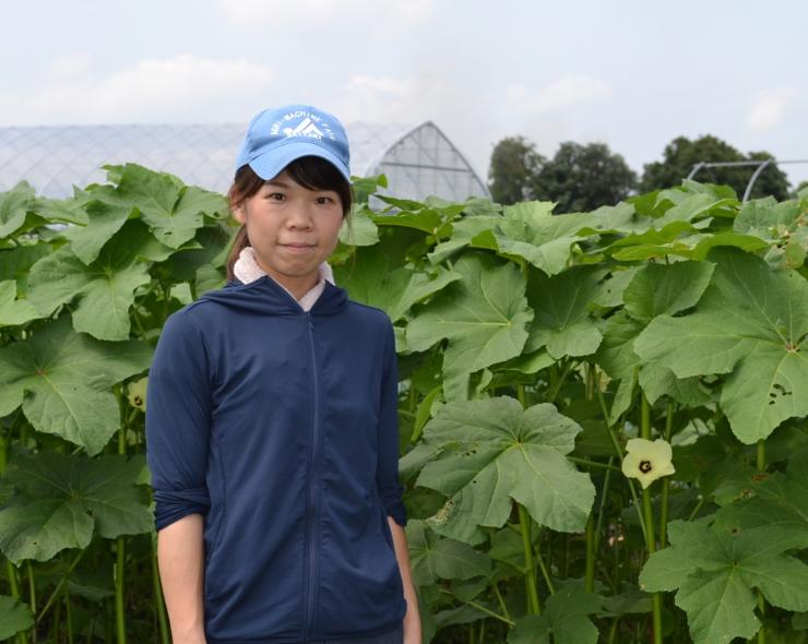 オクラ畑と田島友里子さんの画像