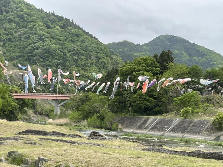 神流川水辺公園のこいのぼり