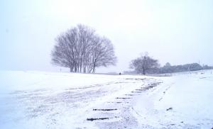 本庄・児玉地域の雪景色