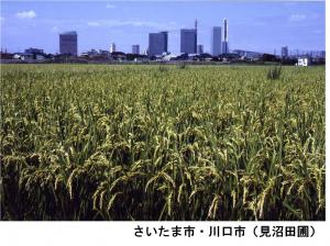 見沼
