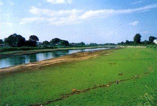 越谷市、松伏町付近の大落古利根川の写真