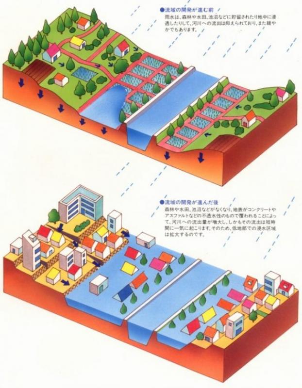 流域の開発が進む前と進んだ後の違いを示す図