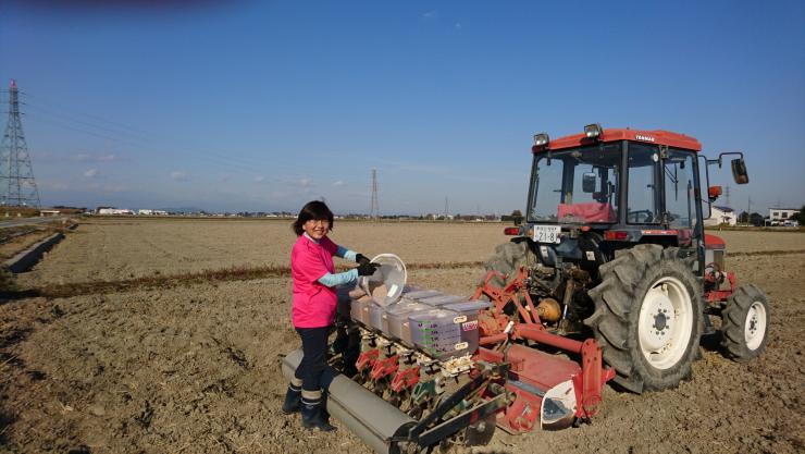 青空のもと、麦まきの準備をする矢田堀さん