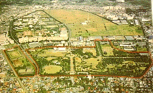 所沢航空記念公園の上空写真