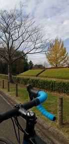 難波田城公園5