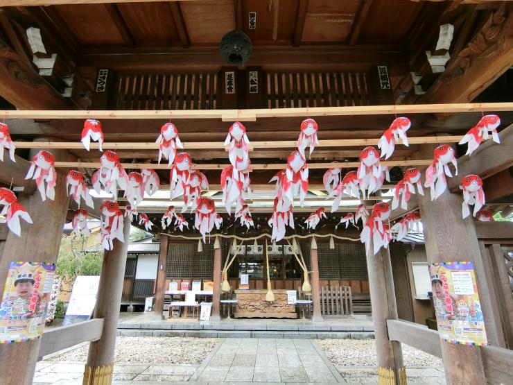 鳥居の下に飾り物の金魚が泳ぐ夏