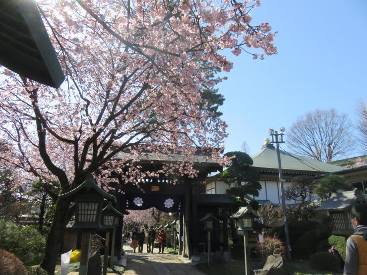 山門内