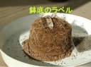 鉢から根鉢を取り出した