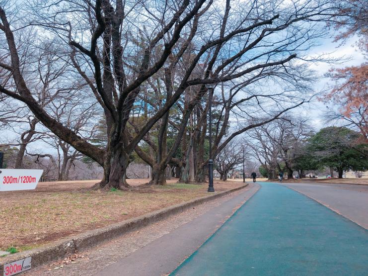 狭山稲荷山公園ランニングコース1