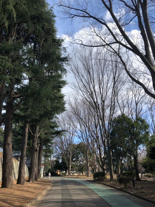 上尾運動公園ランニングコース3