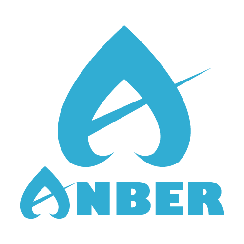 AMBERlogo