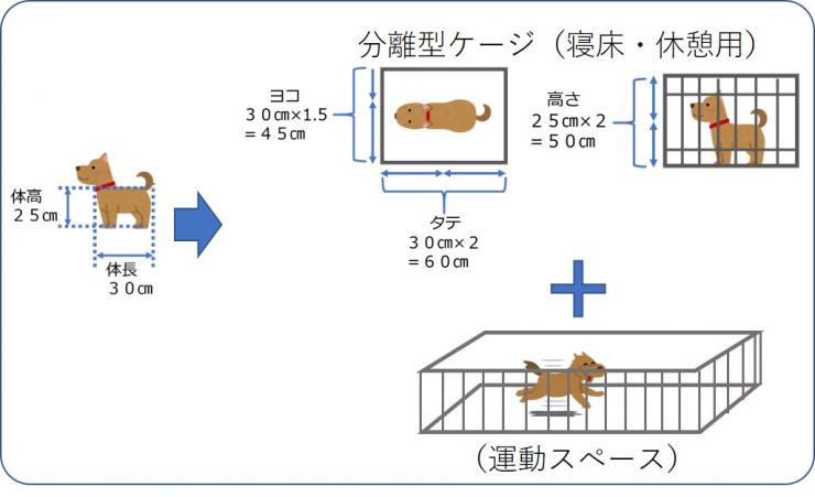 犬分離型イメージ