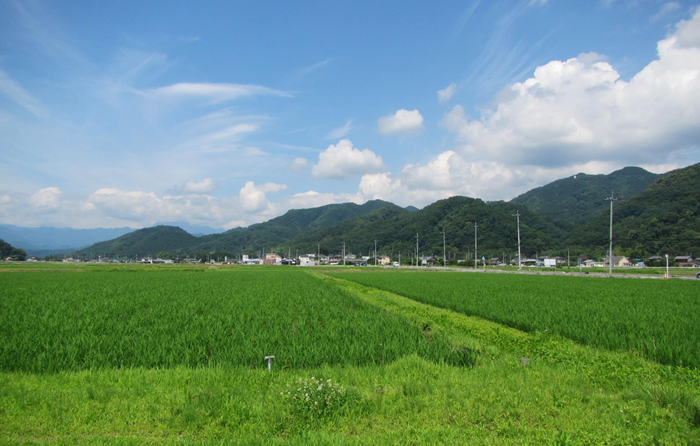 田園風景