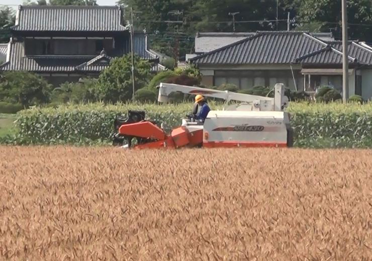 水田複合専攻実習写真その2