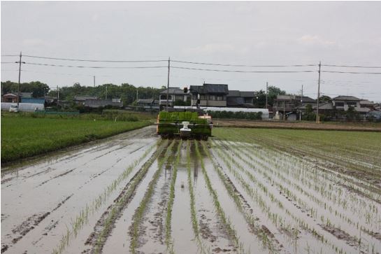 無人田植え機2
