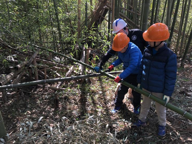 竹林整備作業1