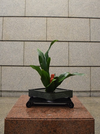作品写真12
