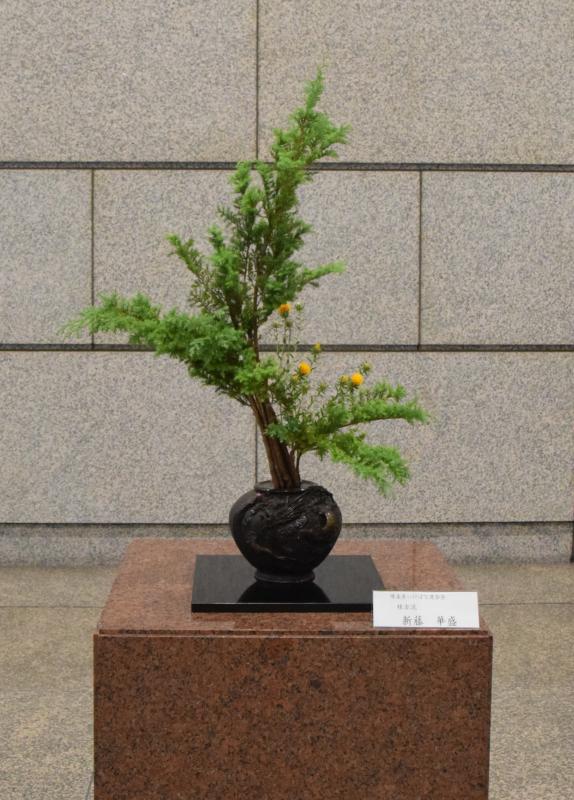 作品写真2
