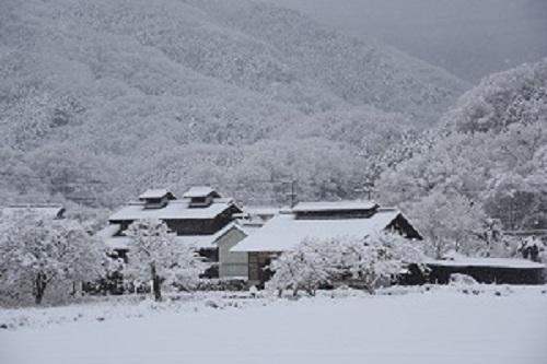 雪景色