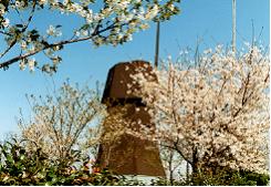 見沼元圦公園の写真