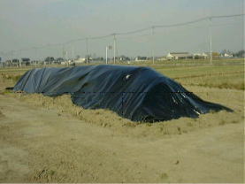 写真3不透明シートを活用した簡易堆肥化施設