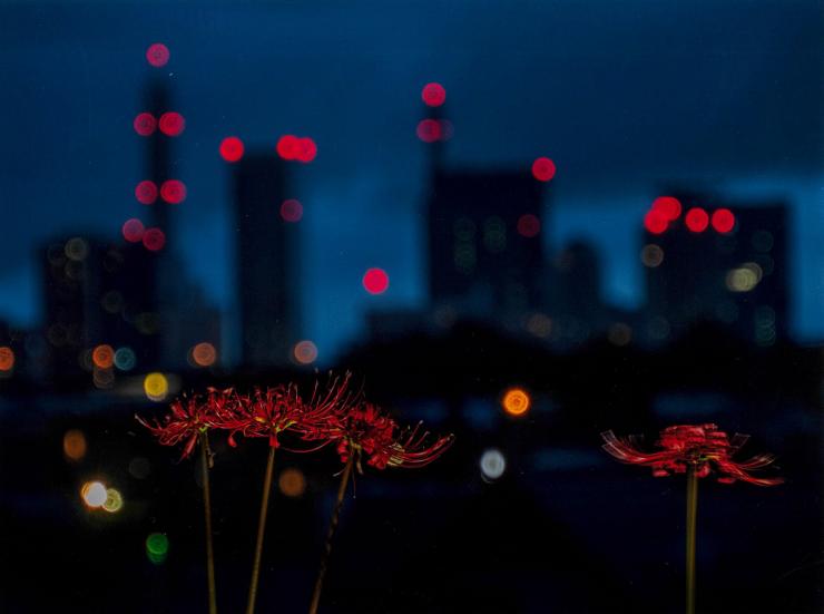 写真：受賞作品