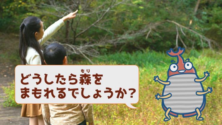 狭山丘陵の自然