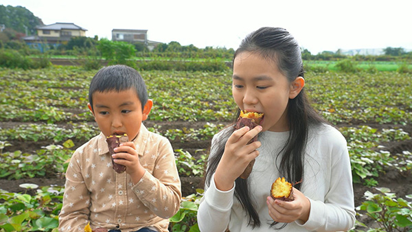 三富新田の平地林