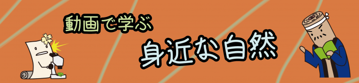 自然の博物館デジタル資料バナー