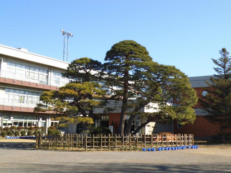 三箇小学校・松