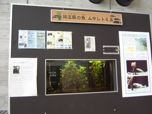 展示館ムサシトミヨコーナーの写真