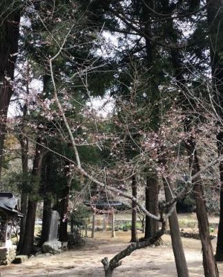 有氏神社