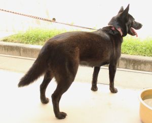 tuki-2.JPG