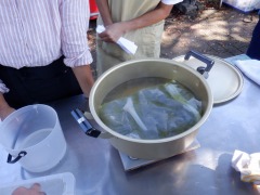 鍋でセイタカアワダチソウを煮出している様子